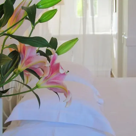 Porto Scoutari Romantic Skala