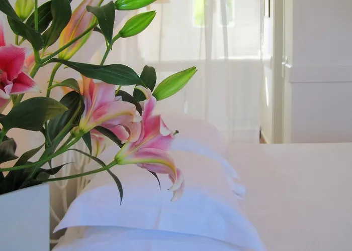 Porto Scoutari Romantic Skala